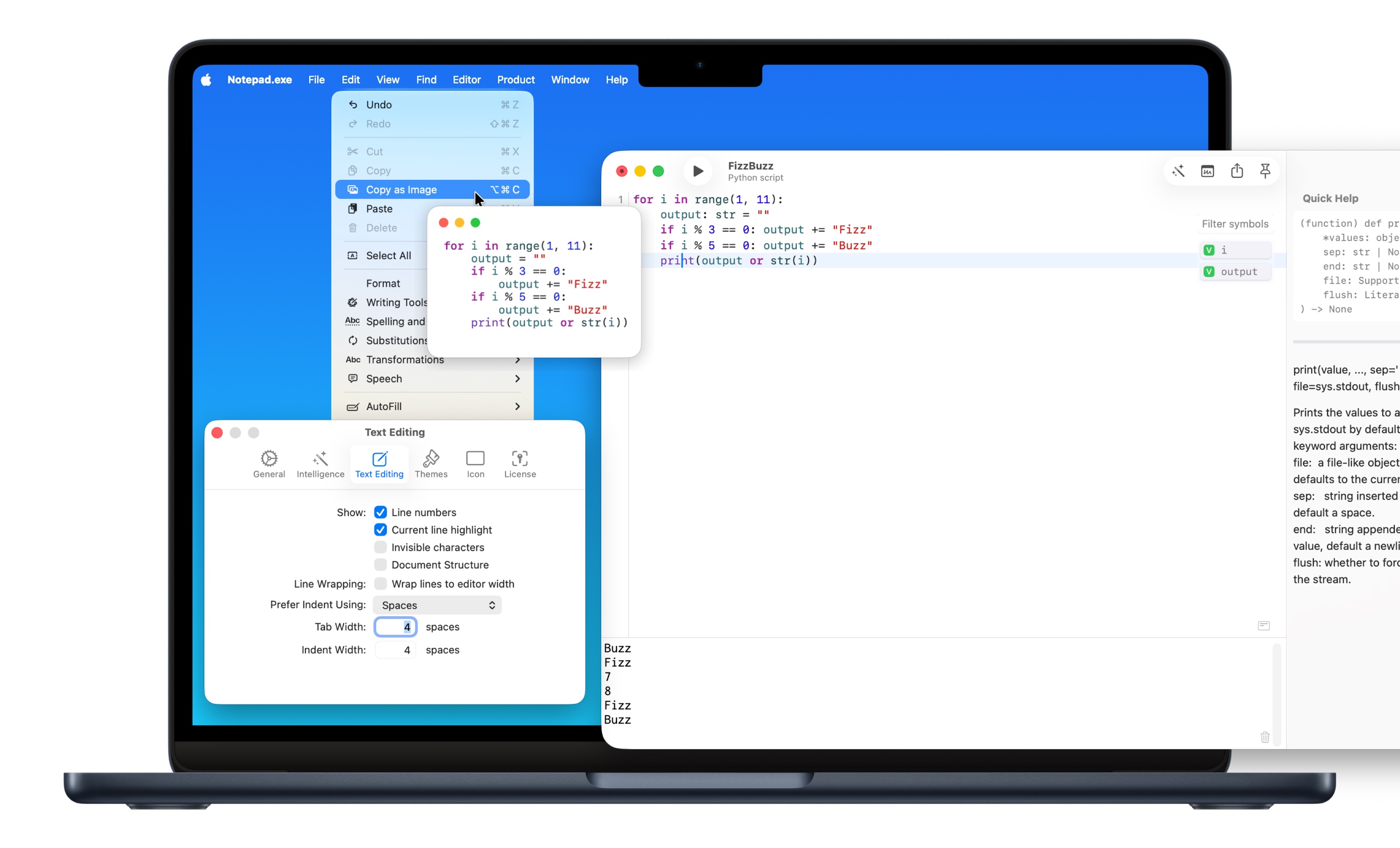 Notepad.exe editor preferences and customization options for text editing